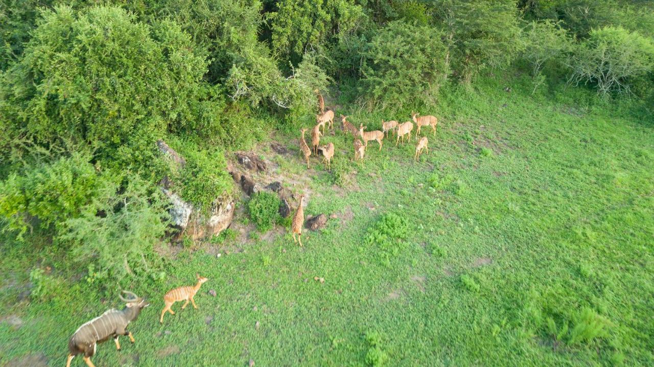 Zululand Lodge Хлухлуве Екстериор снимка