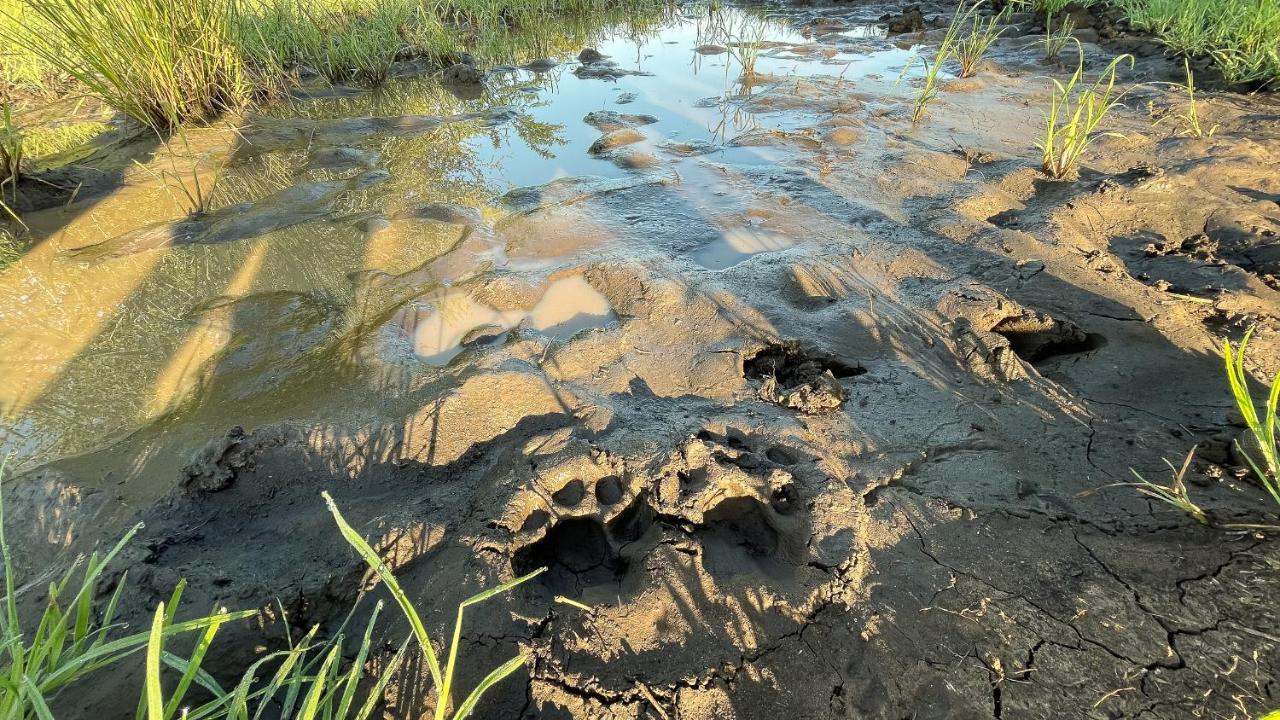Zululand Lodge Хлухлуве Екстериор снимка