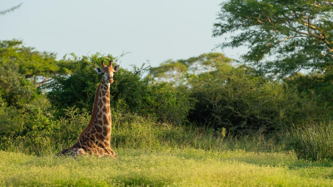 Zululand Lodge Хлухлуве Екстериор снимка